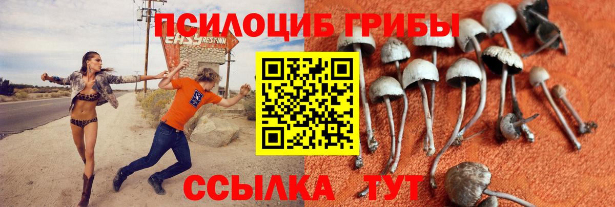 Псилоцибиновые грибы MAGIC MUSHROOMS Качканар