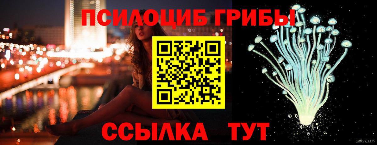 Качканар  Галлюциногенные грибы мицелий  Галлюциногенные грибы Psilocybe  Вход с VPN 